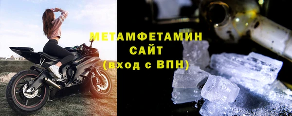 прущие грибы Гусиноозёрск