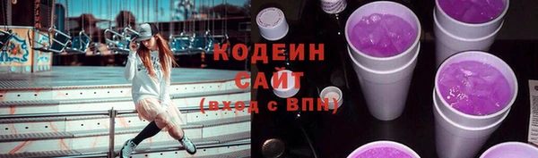 крисы Гусев