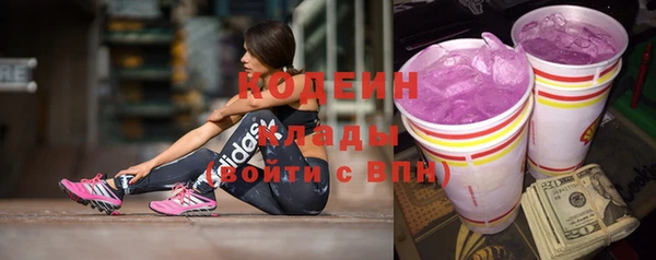 прущие грибы Гусиноозёрск