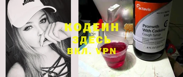прущие грибы Гусиноозёрск