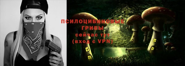 прущая мука Пересвет