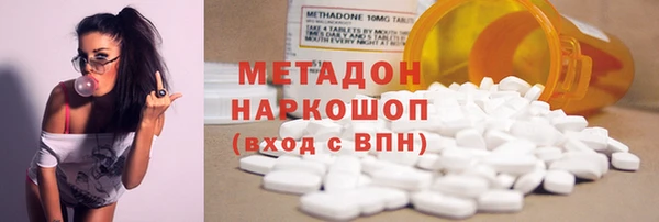 прущие грибы Гусиноозёрск
