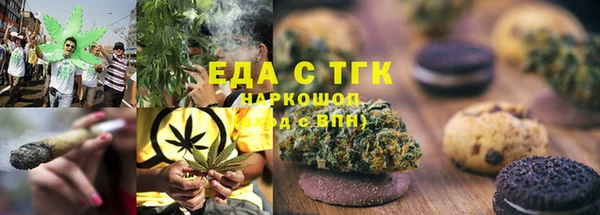 стаф Осинники