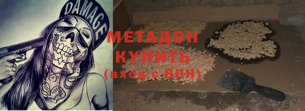 прущие грибы Гусиноозёрск