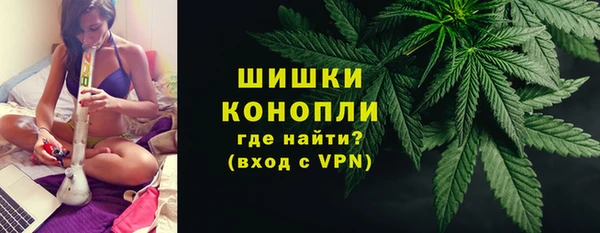 прущие грибы Гусиноозёрск