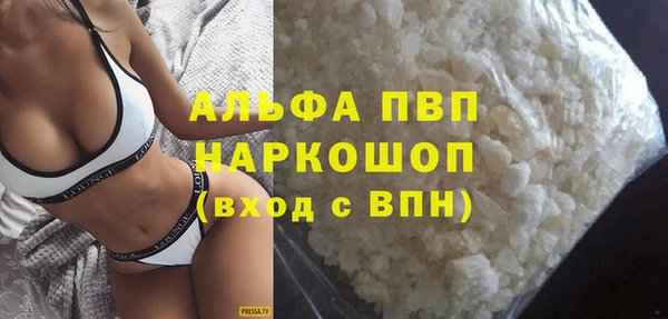 прущие грибы Гусиноозёрск