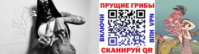 что такое   Новосокольники  это телеграм  Галлюциногенные грибы Cubensis 